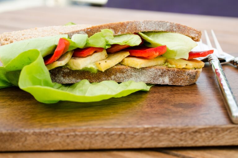 Teriyaki tofu burger Photo-by-Alex-Badulescu-CC0-on-Pixabay