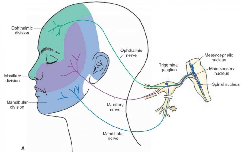 trigeminal neuralgia foods to avoid
