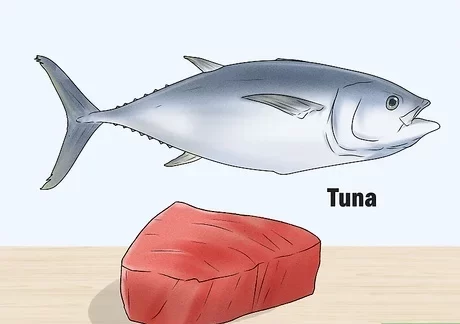 tuna fish recipes for bodybuilding