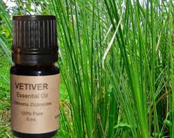 Vetiver essential oil
