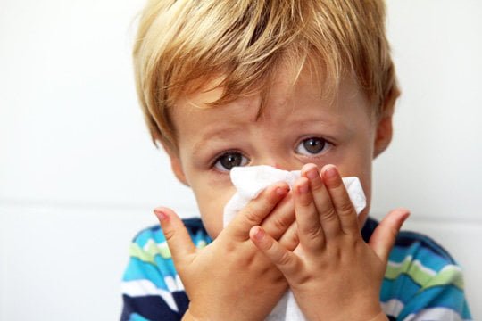 flu home remedy