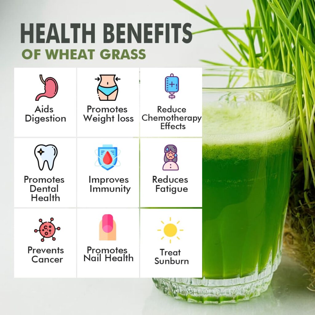 Health benefits of wheatgrass juice