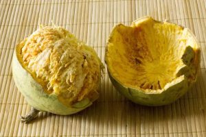 wood apple