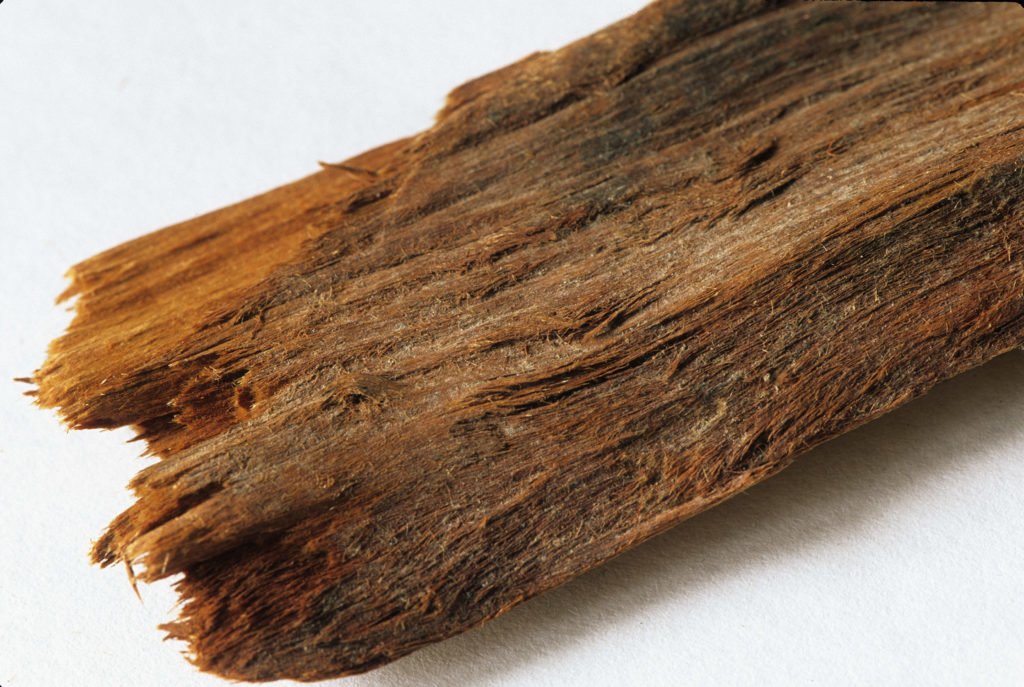Yohimbe Bark Tea Increases Sexual Desire & Reduces Hypertension